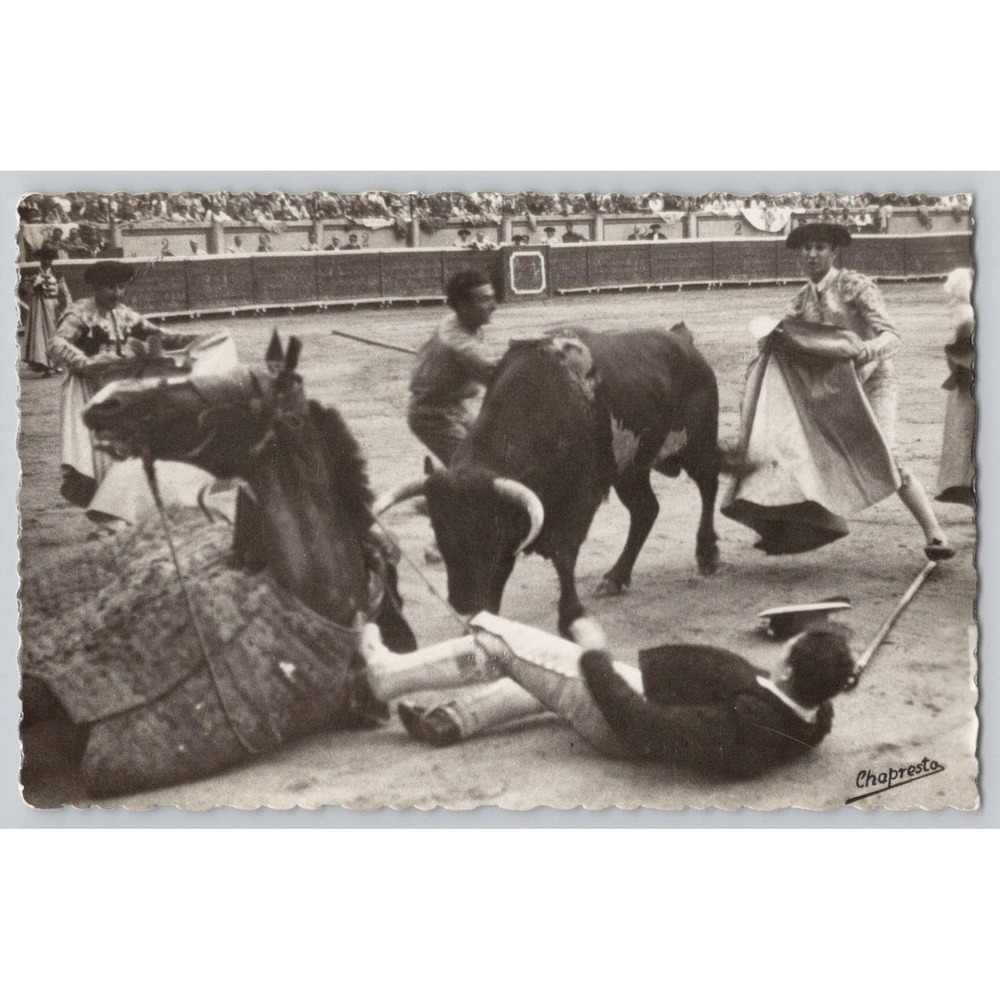 Spanish‎ Bullfighting "El Picador Falls Before the Bull" c1950s RPPC POSTCARD